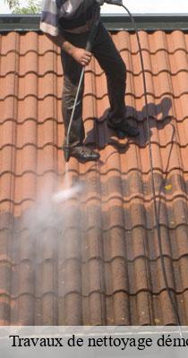 Travaux de nettoyage démoussage et hydrofuge de toiture et façade  chenay-le-chatel-71340 Catherin Couverture 71