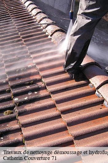 Travaux de nettoyage démoussage et hydrofuge de toiture et façade  chenay-le-chatel-71340 Catherin Couverture 71