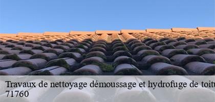 Travaux de nettoyage démoussage et hydrofuge de toiture et façade cressy-sur-somme-71760 Catherin Couverture 71