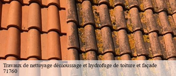 Travaux de nettoyage démoussage et hydrofuge de toiture et façade cressy-sur-somme-71760 MCH Habitat