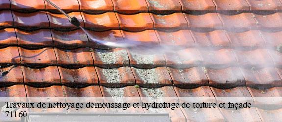 Travaux de nettoyage démoussage et hydrofuge de toiture et façade  les-guerreaux-71160 Catherin Couverture 71