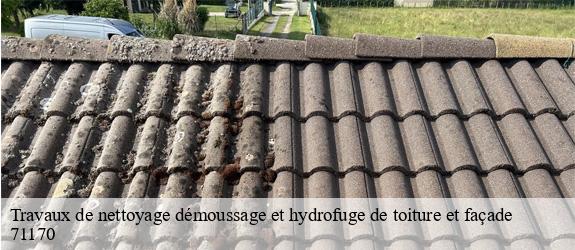 Travaux de nettoyage démoussage et hydrofuge de toiture et façade mussy-sous-dun-71170 MCH Habitat