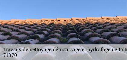 Travaux de nettoyage démoussage et hydrofuge de toiture et façade  ouroux-sur-saone-71370 Catherin Couverture 71