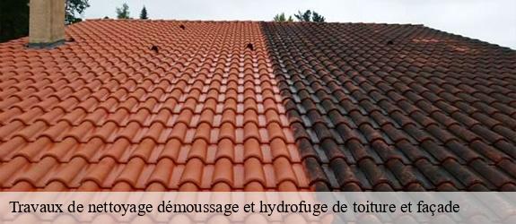 Travaux de nettoyage démoussage et hydrofuge de toiture et façade  palleau-71350 Catherin Couverture 71