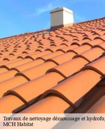 Travaux de nettoyage démoussage et hydrofuge de toiture et façade  pierreclos-71960 MCH Habitat