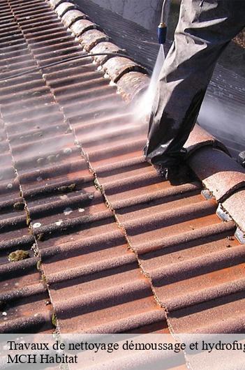 Travaux de nettoyage démoussage et hydrofuge de toiture et façade  sagy-71580 MCH Habitat