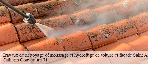 Travaux de nettoyage démoussage et hydrofuge de toiture et façade  saint-amour-bellevue-71570 Catherin Couverture 71