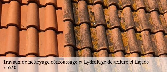 Travaux de nettoyage démoussage et hydrofuge de toiture et façade saint-maurice-en-riviere-71620 MCH Habitat