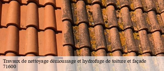 Travaux de nettoyage démoussage et hydrofuge de toiture et façade  saint-yan-71600 MCH Habitat