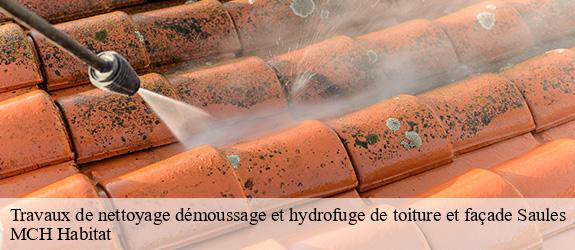 Travaux de nettoyage démoussage et hydrofuge de toiture et façade  saules-71940 MCH Habitat