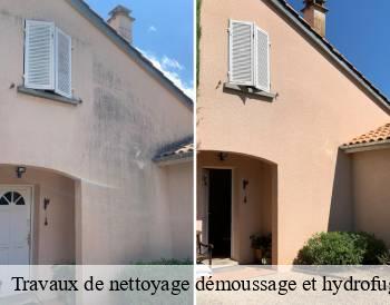 Travaux de nettoyage démoussage et hydrofuge de toiture et façade  sermesse-71350 MCH Habitat