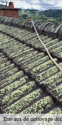 Travaux de nettoyage démoussage et hydrofuge de toiture et façade  solutre-pouilly-71960 MCH Habitat