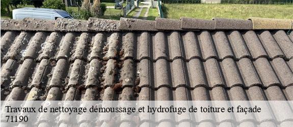 Travaux de nettoyage démoussage et hydrofuge de toiture et façade  uchon-71190 MCH Habitat