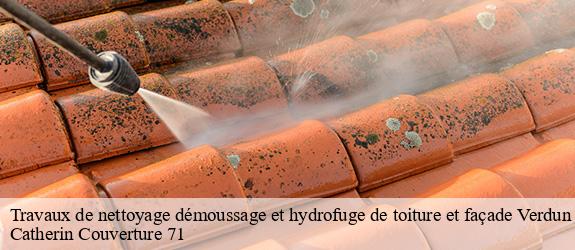 Travaux de nettoyage démoussage et hydrofuge de toiture et façade  verdun-sur-le-doubs-71350 Catherin Couverture 71