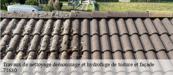Travaux de nettoyage démoussage et hydrofuge de toiture et façade vinzelles-71680 MCH Habitat