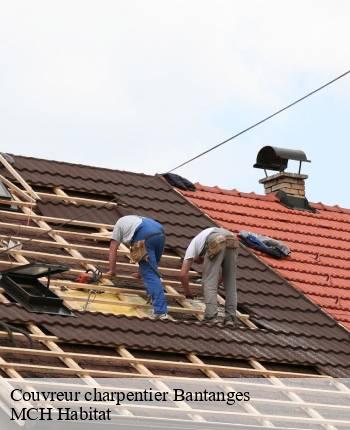 Couvreur charpentier bantanges-71500 MCH Habitat