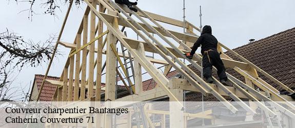 Couvreur charpentier  bantanges-71500 Catherin Couverture 71