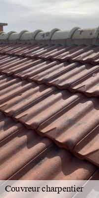 Couvreur charpentier  fontenay-71120 MCH Habitat
