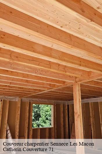 Couvreur charpentier  sennece-les-macon-71000 Catherin Couverture 71